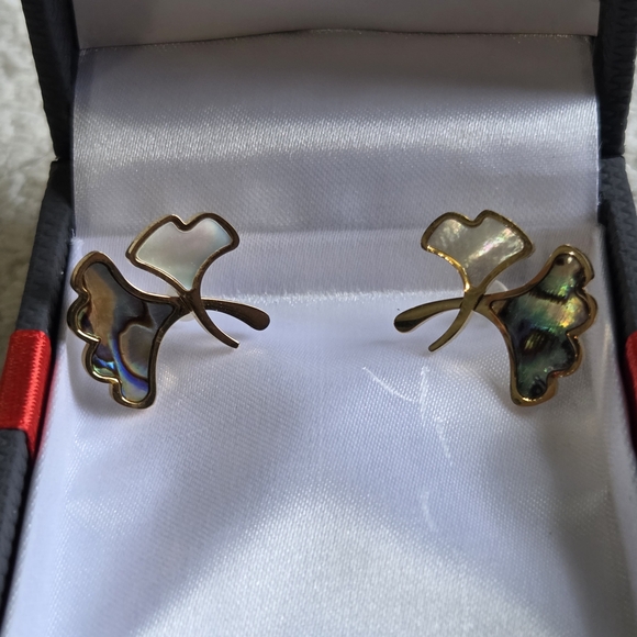 Elegant Mother Of Pearl And Abalone Necklace & Earring Set - Picture 2 of 5